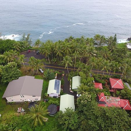 Oceanfront Cottage Near The Kalapana Lava Flows Kehena Exteriör bild