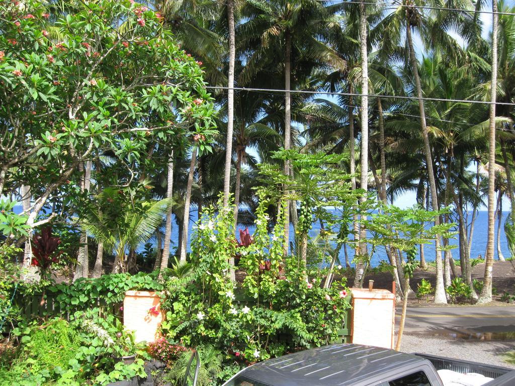 Oceanfront Cottage Near The Kalapana Lava Flows Kehena Exteriör bild