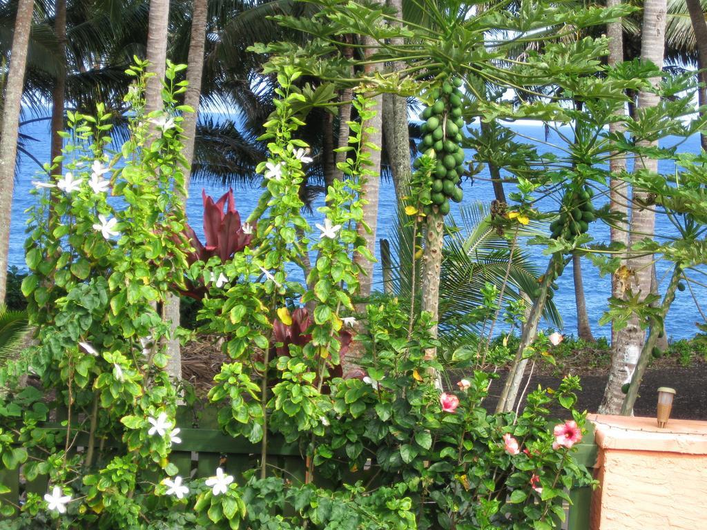 Oceanfront Cottage Near The Kalapana Lava Flows Kehena Rum bild