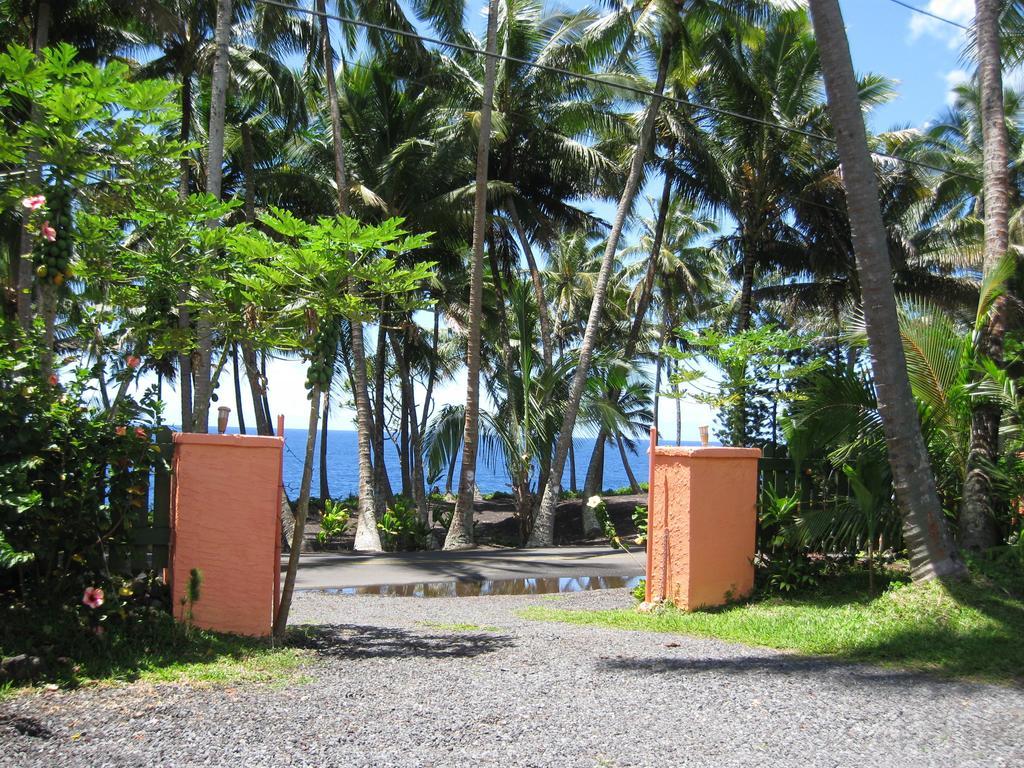Oceanfront Cottage Near The Kalapana Lava Flows Kehena Rum bild