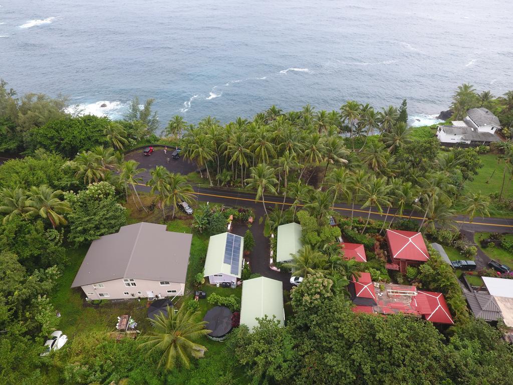 Oceanfront Cottage Near The Kalapana Lava Flows Kehena Exteriör bild