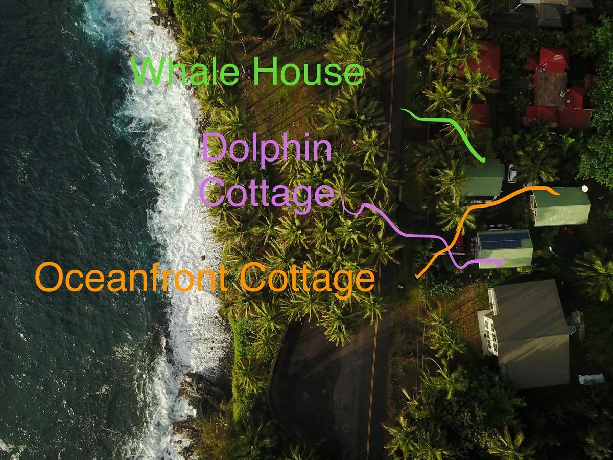 Oceanfront Cottage Near The Kalapana Lava Flows Kehena Exteriör bild